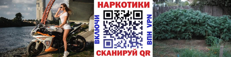 Цена Железногорск Псилоцибиновые грибы  Кокаин  ГАШИШ  Мефедрон  Канабис 