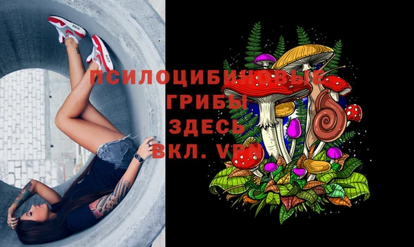 амф Вязьма