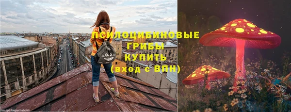 амф Вязьма