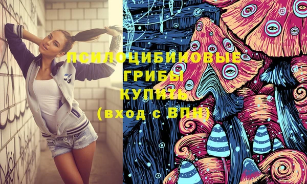 амф Вязьма