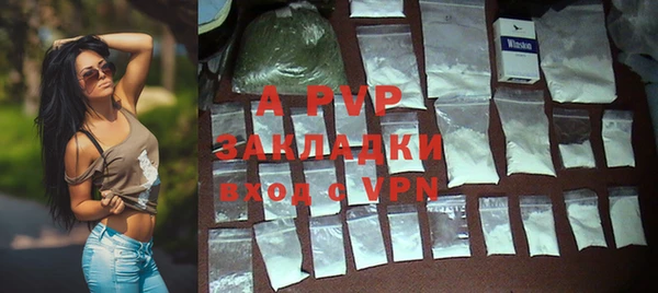 амф Вязьма