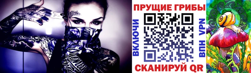 Галлюциногенные грибы мухоморы  Железногорск 