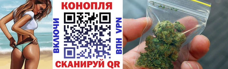 Каннабис сатива  Железногорск 
